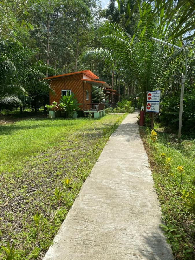 Khaosok Bamboo Huts Resort Khao Sok National Park Dış mekan fotoğraf